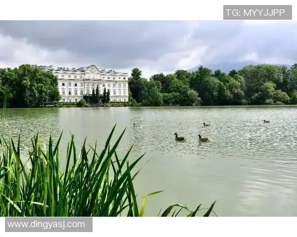 莱奥的成长之路从小镇到国际舞台的奋斗与荣耀